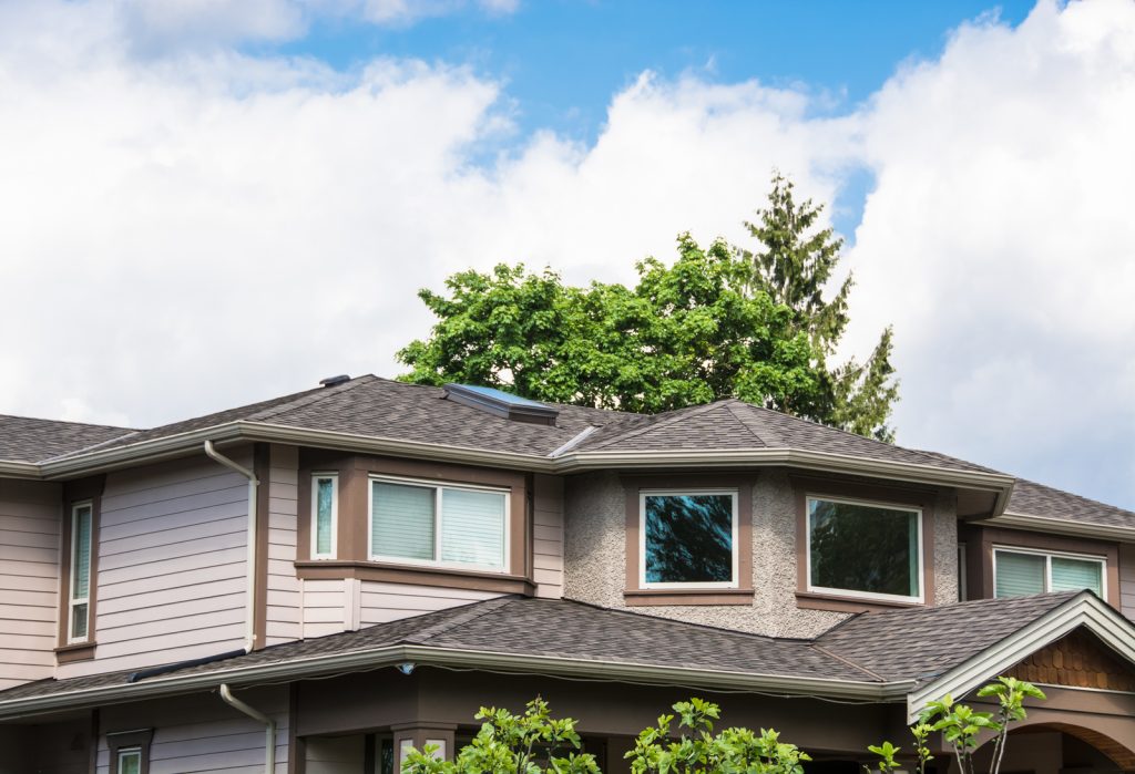window repair in Elgin